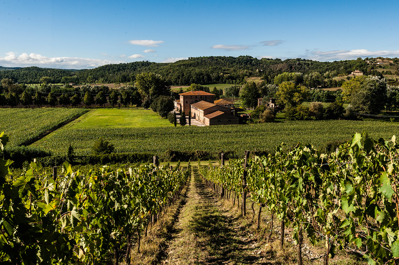 Castello di Barbialla